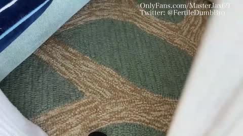 MasterJax69 online show from October 27, 4:00 pm