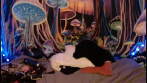 alyssaarcane online show from May 28, 9:34 pm
