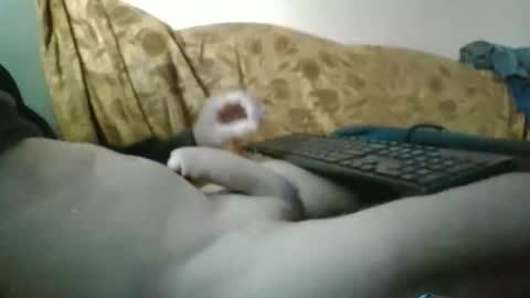 Snapshot of amazingcuteboy845 chatting on September 29, 1:16 pm amazingcuteboy845 online show from September 29, 1:16 pm