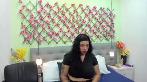 ambar85 online show from November 22, 3:49 am