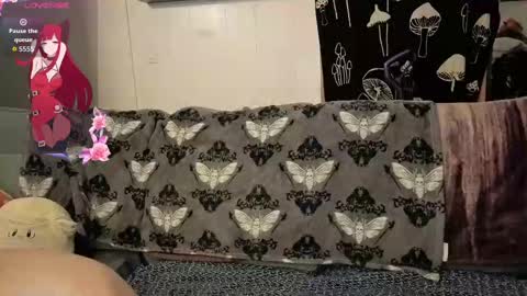 amburlicious online show from November 2, 2:25 am