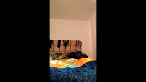 Snapshot of amelie__martinez chatting on June 3, 2:33 pm amelie__martinez online show from June 3, 2:33 pm