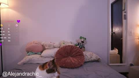 Snapshot of amelie_leigh chatting on May 22, 1:02 am Alejandra online show from May 22, 1:02 am