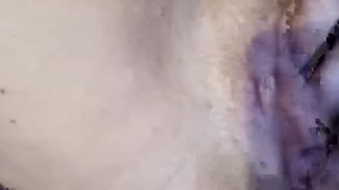 Snapshot of amileamariestar chatting on November 6, 5:25 pm amileamariestar online show from November 6, 5:25 pm