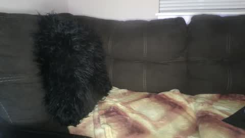 Snapshot of amiri_sweater chatting on February 25, 6:36 am amiri_sweater online show from February 25, 6:36 am