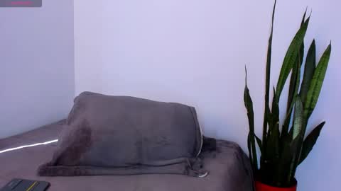 ammy online show from November 18, 2:21 pm