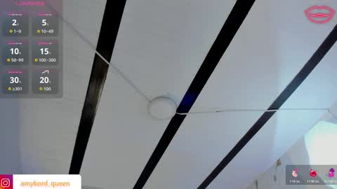 Amykord online show from November 14, 11:31 am