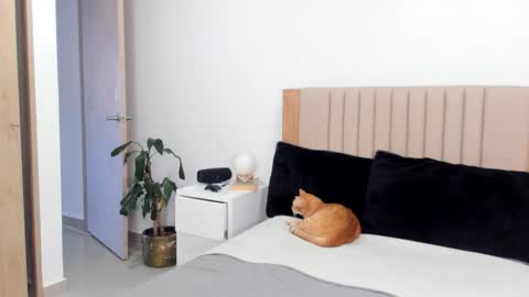 Ana Henao or Annie... Follow me ahenaocb Insta  X online show from October 25, 9:42 pm