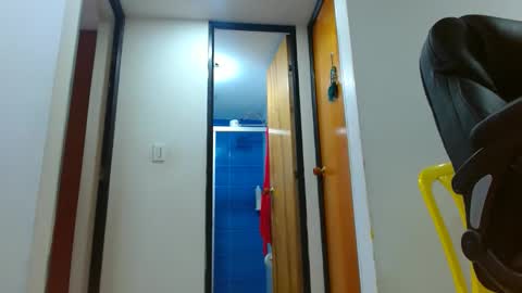 anaids online show from November 27, 2:30 pm