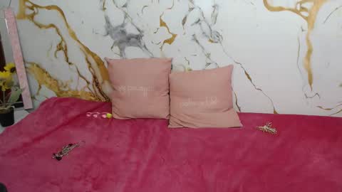 analiz_ online show from February 5, 1:32 am