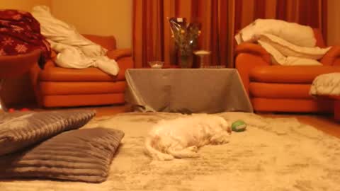 Andra online show from November 18, 10:25 pm