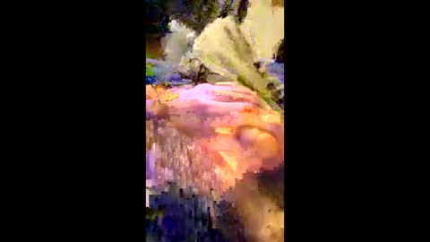 Snapshot of andrefeetlover11849 chatting on December 17, 6:36 pm andrefeetlover11849 online show from December 17, 6:36 pm