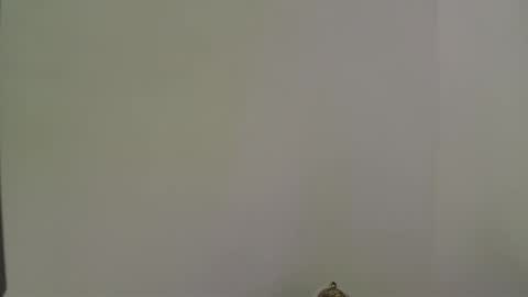 Snapshot of andres_stud chatting on October 13, 4:34 am andres_stud online show from October 13, 4:34 am