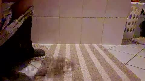 Snapshot of andris40 chatting on February 8, 8:56 pm andris40 online show from February 8, 8:56 pm