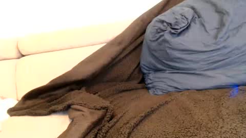 Angelica online show from November 6, 1:17 am