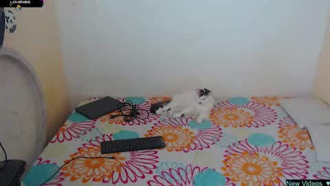 Angie y Andres online show from January 20, 1:11 pm