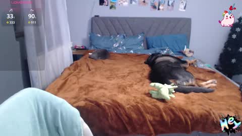 Snapshot of anna_ana chatting on January 8, 6:41 pm Anadirectgirl online show from January 8, 6:41 pm