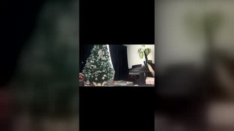 anna_nobel online show from December 14, 11:04 am