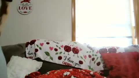 anne online show from January 5, 5:49 pm