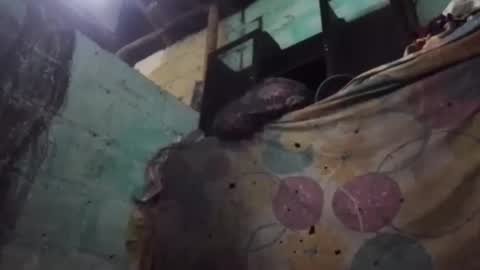 anonimode18cm1 online show from March 19, 3:54 am