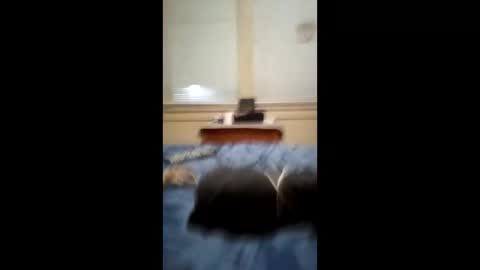 anthonymichael691973668762 online show from March 3, 7:14 am