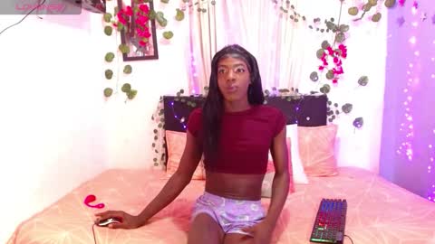 Snapshot of antonella747158 chatting on November 28, 8:17 am antonella747158 online show from November 28, 8:17 am