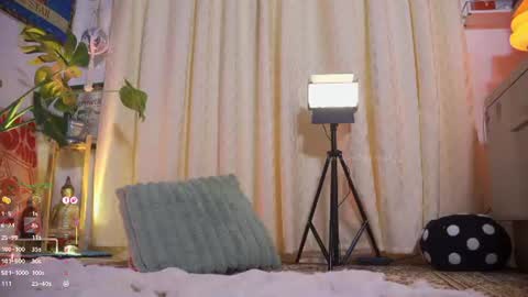 Nell. online show from June 22, 3:25 am