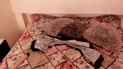 Snapshot of antoniasalas chatting on June 14, 2:24 am antoniasalas online show from June 14, 2:24 am