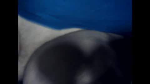 antxon12 online show from January 17, 2:38 am