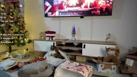 Snapshot of anyi_1 chatting on January 7, 3:24 am Anyi Orion and Pyxis online show from January 7, 3:24 am