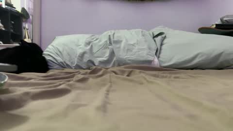 Snapshot of anytimexcowboy chatting on December 4, 9:29 am cowboy online show from December 4, 9:29 am