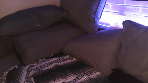 Snapshot of aphrodite_ash chatting on September 25, 7:56 am Shy Happy Pair online show from September 25, 7:56 am