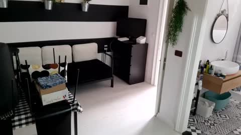 apollobest77 online show from January 19, 12:17 pm