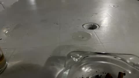 Snapshot of appelsapje4 chatting on November 24, 12:43 am appelsapje4 online show from November 24, 12:43 am
