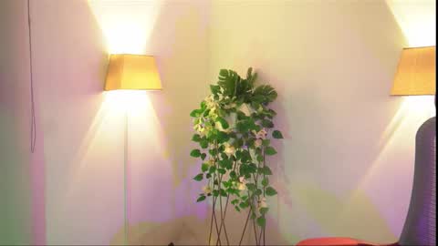 insta appolo master online show from November 26, 4:02 am