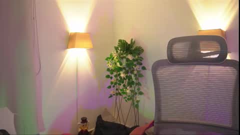 insta appolo master online show from November 29, 4:59 am