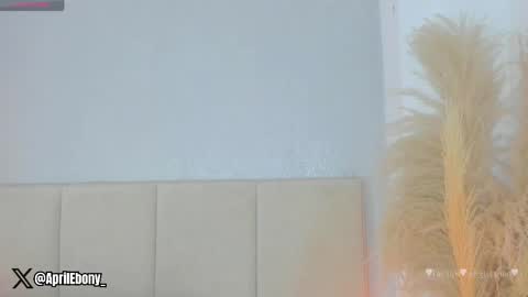Snapshot of april_ebony18_ chatting on June 6, 10:53 am April online show from June 6, 10:53 am