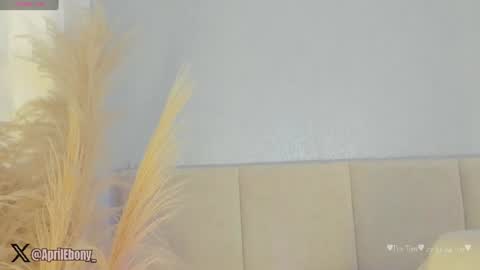 Snapshot of april_ebony18_ chatting on July 23, 11:08 am April online show from July 23, 11:08 am