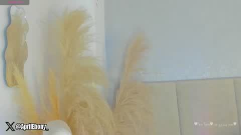 Snapshot of april_ebony18_ chatting on July 30, 10:36 am April online show from July 30, 10:36 am