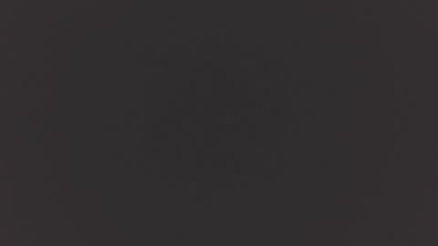 hairycub online show from December 4, 12:47 pm