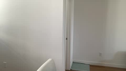 arabianprincess37 online show from March 7, 6:27 pm