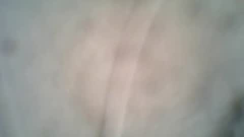 olo online show from October 8, 6:38 pm