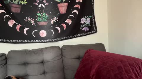 Aria Fields online show from December 4, 5:33 pm