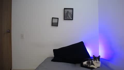Snapshot of aria_jhonsson777 chatting on December 19, 5:40 am 777 online show from December 19, 5:40 am
