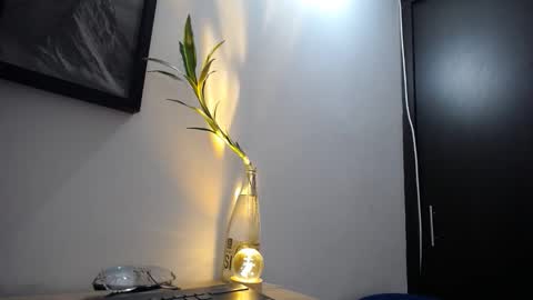 Snapshot of aria_jhonsson777 chatting on January 10, 4:09 pm 777 online show from January 10, 4:09 pm