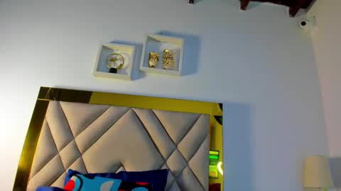 Snapshot of ariana_martins chatting on November 30, 3:43 am ARI online show from November 30, 3:43 am