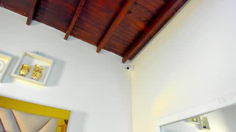 Snapshot of ariana_martins chatting on December 2, 3:23 am ARI online show from December 2, 3:23 am