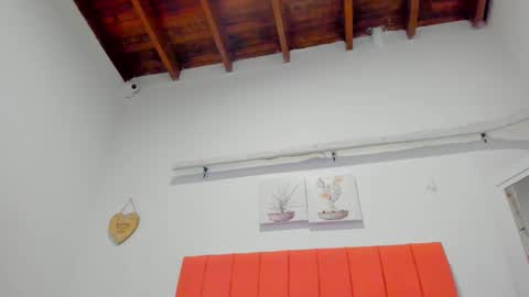 Snapshot of ariana_martins chatting on December 18, 3:01 am ARI online show from December 18, 3:01 am