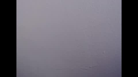 ariannaloovel online show from April 28, 10:04 pm