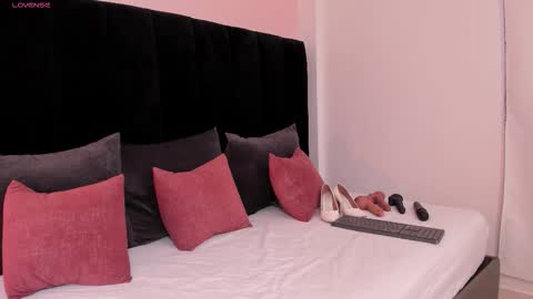 Ariel online show from November 26, 5:25 pm